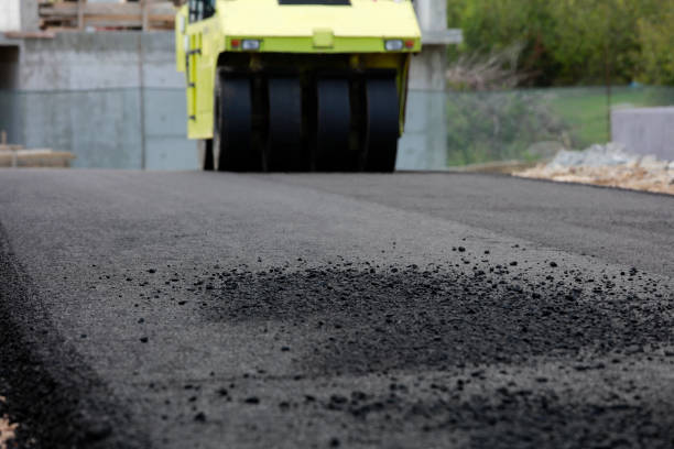 Best Professional Driveway Pavers  in Winter Garden, FL