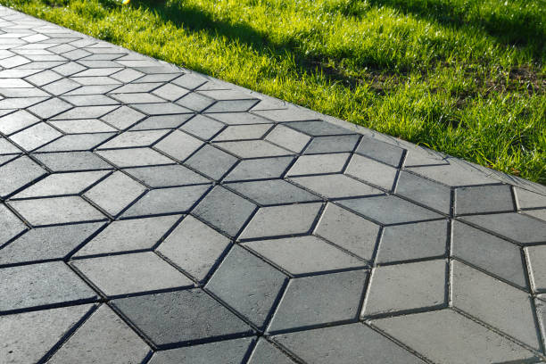 Best Cobblestone Driveway Pavers  in Winter Garden, FL