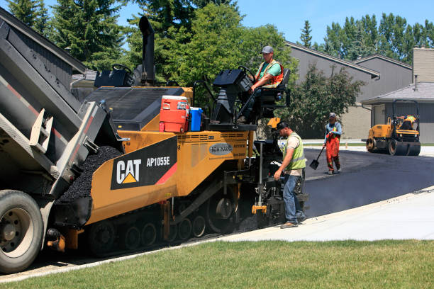 Best Driveway Pavers Near Me  in Winter Garden, FL