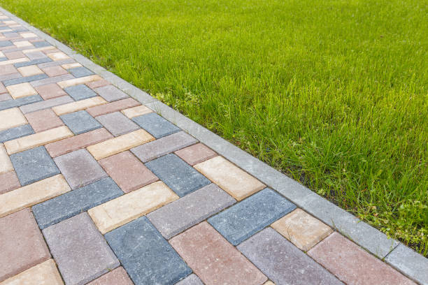 Best Best Driveway Pavers  in Winter Garden, FL